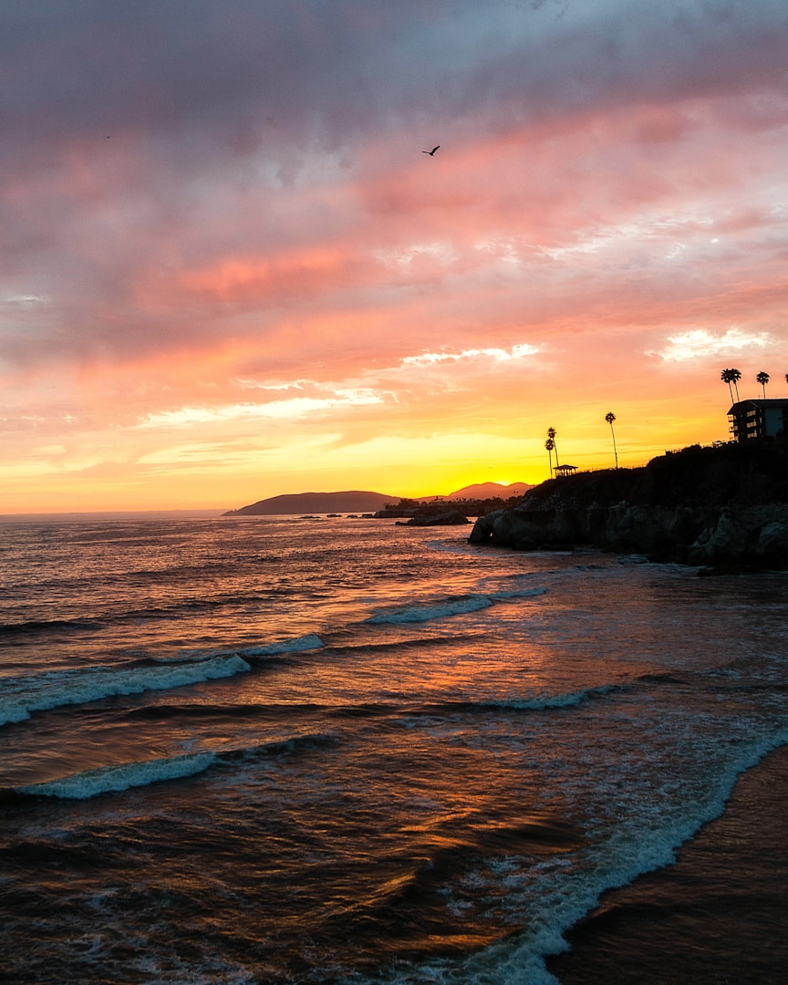 Collaboration with Social Media in SLO